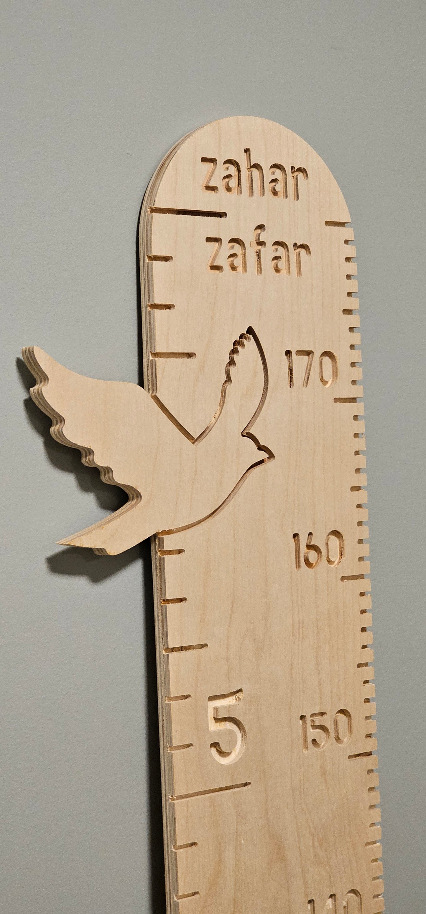 Bird Growth Ruler