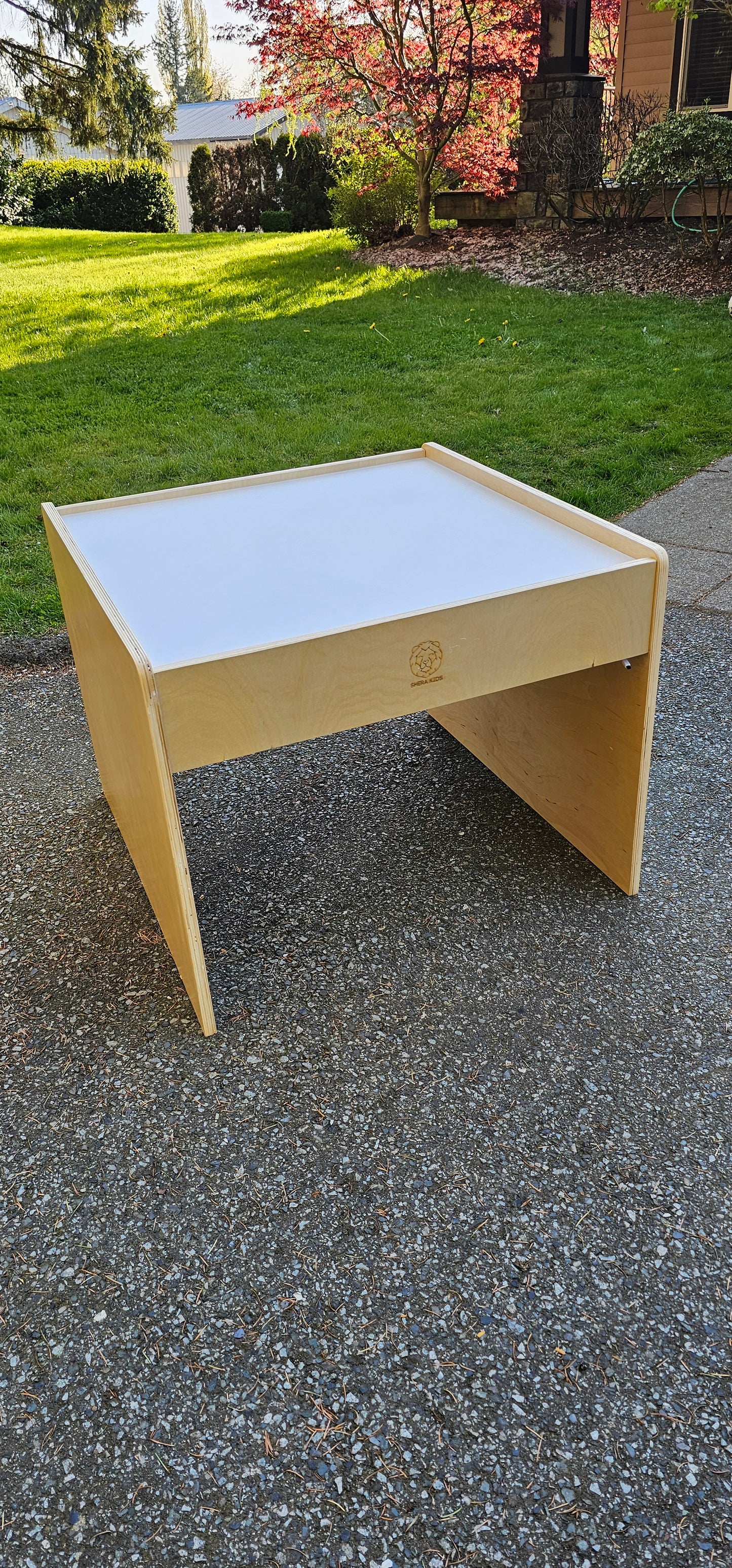 Sensory Light Box Table